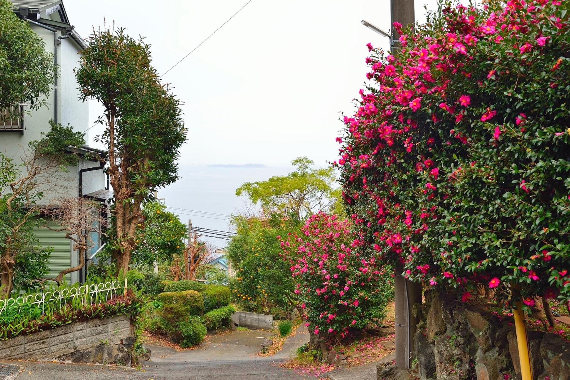 איטו Holiday House 川奈 מראה חיצוני תמונה